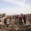 marche del jarama068